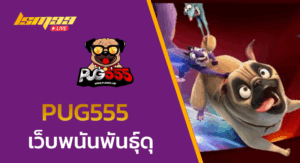 PUG555