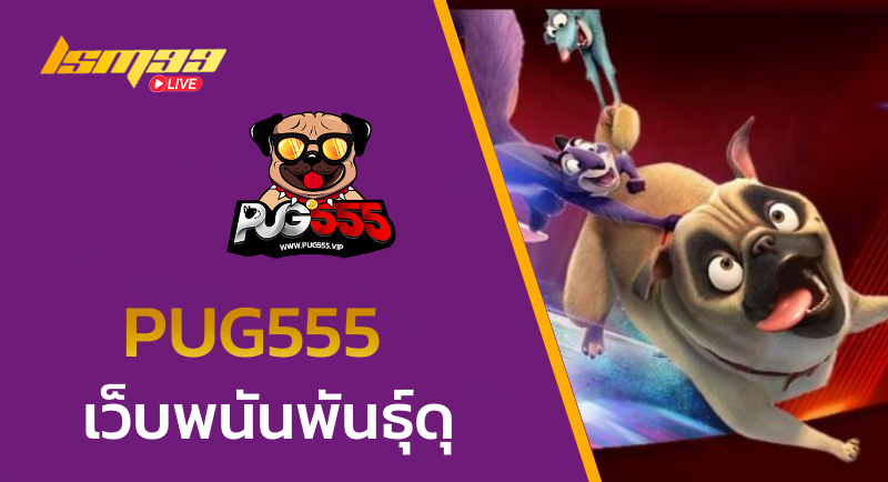 PUG555