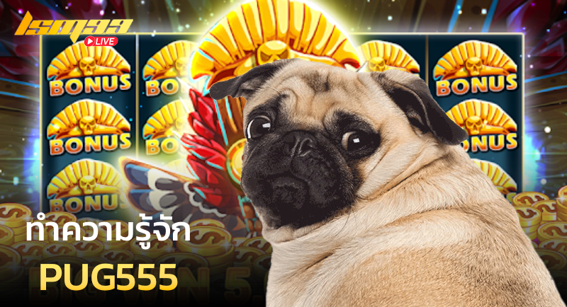 ทำความรู้จัก PUG555