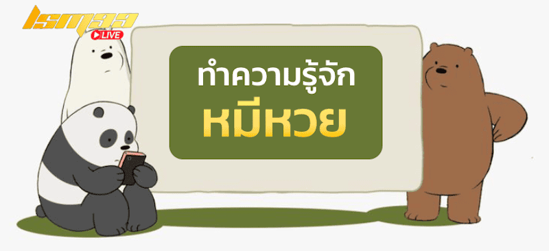 ทำความรู้จัก หมีหวย