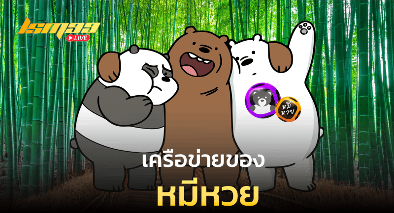 เครือข่ายของหมีหวย