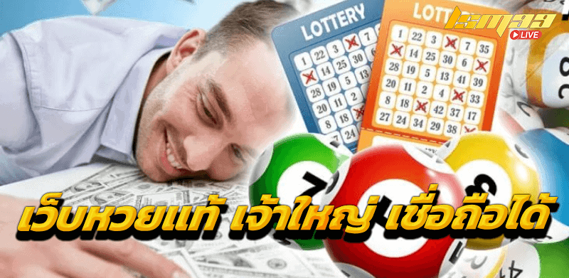 Lotto 393