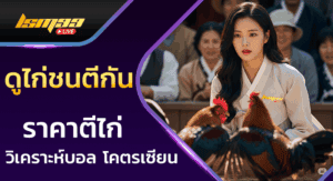 ดูไก่ชนตีกัน