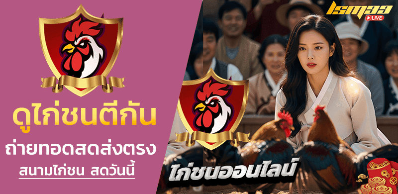 ดูไก่ชนตีกัน