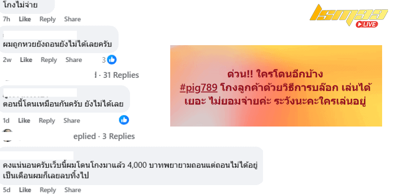 Pig789 หวย