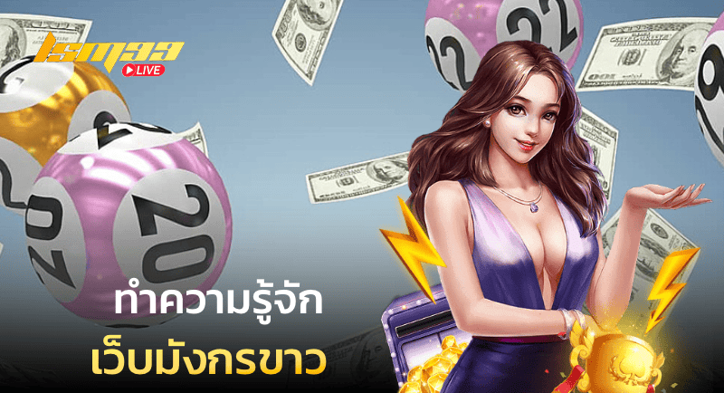 ทำความรู้จัก เว็บมังกรขาว